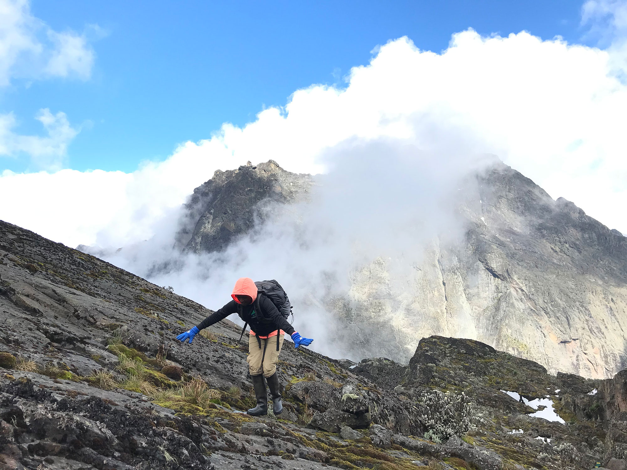 Rwenzori Mountains 'the mountains of the moon' Uganda | Hikemaniak