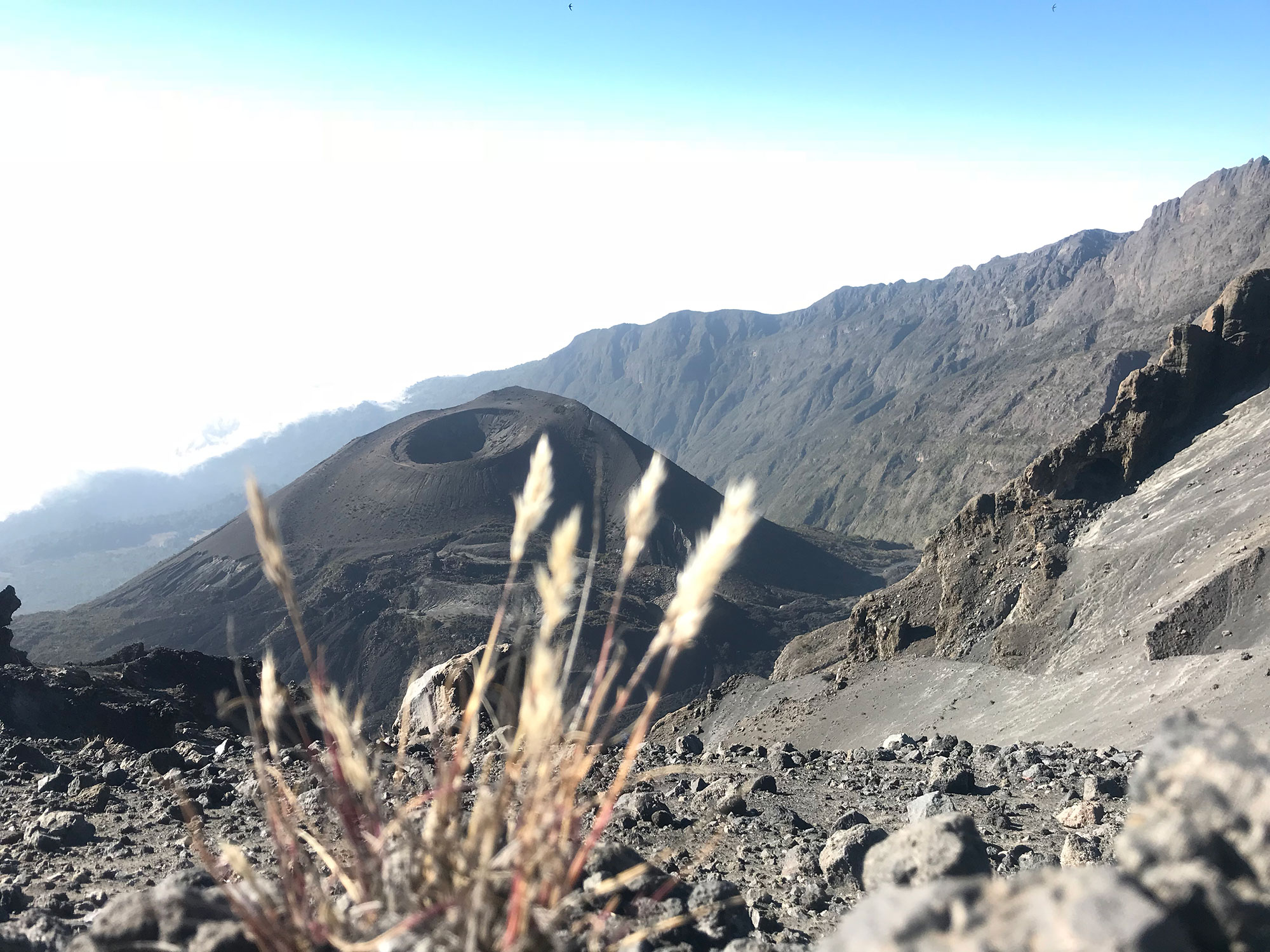 5 days Mt. Meru Arusha National Park, Tanzania | Hikemaniak