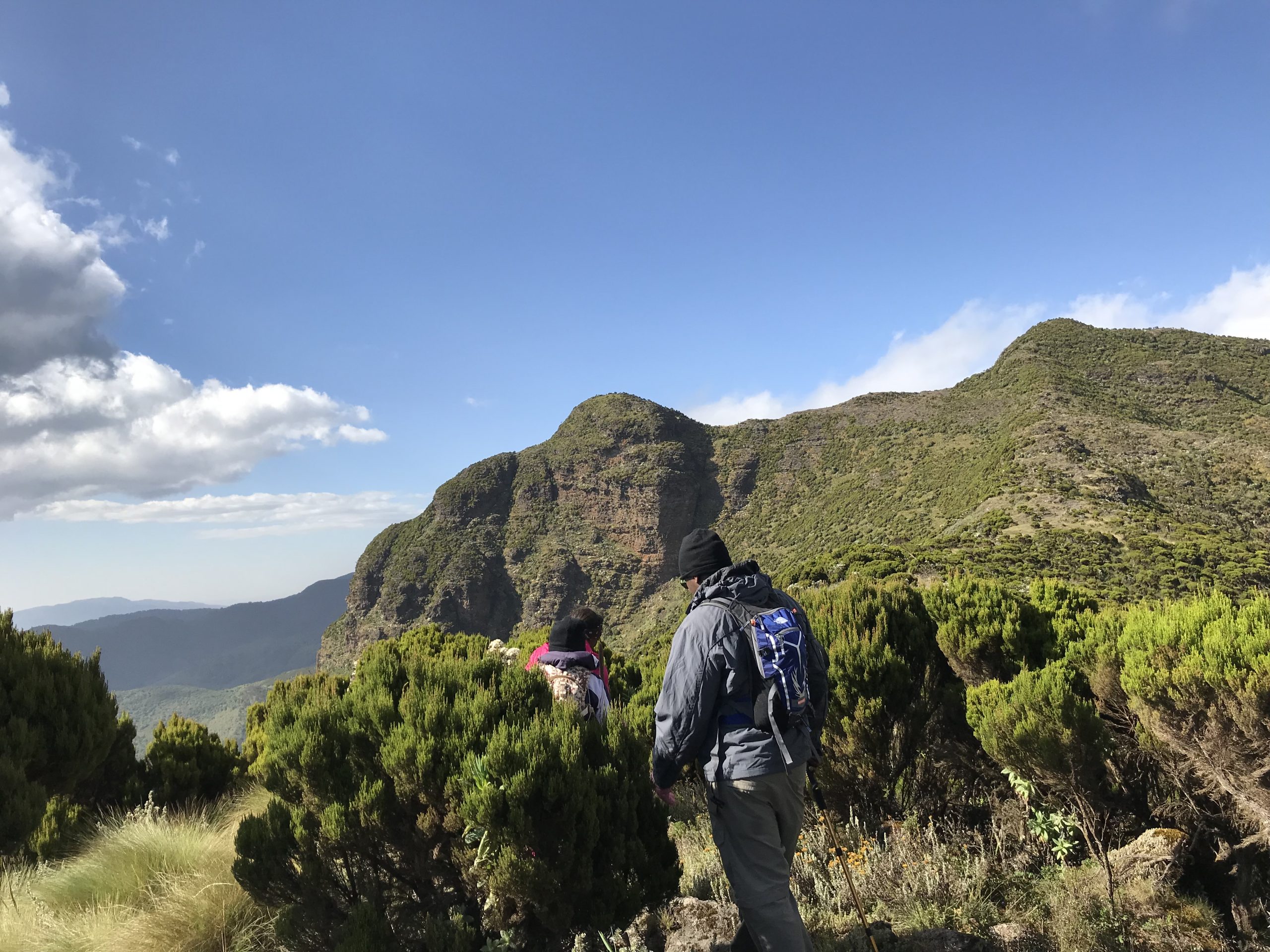 Elephant Hill Bamboo Trek Aberdares Kenya | Hikemaniak