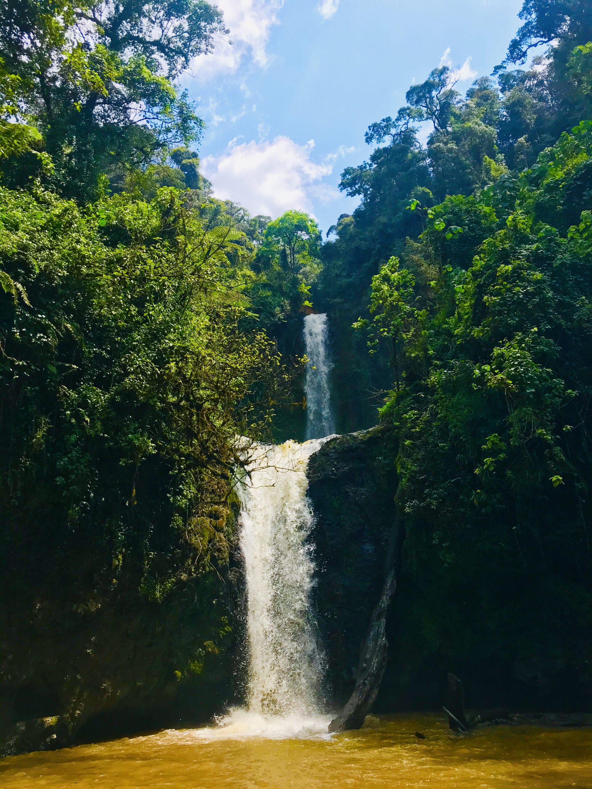 Kimakia Forest Hike and Waterfall Chase | Hikemaniak