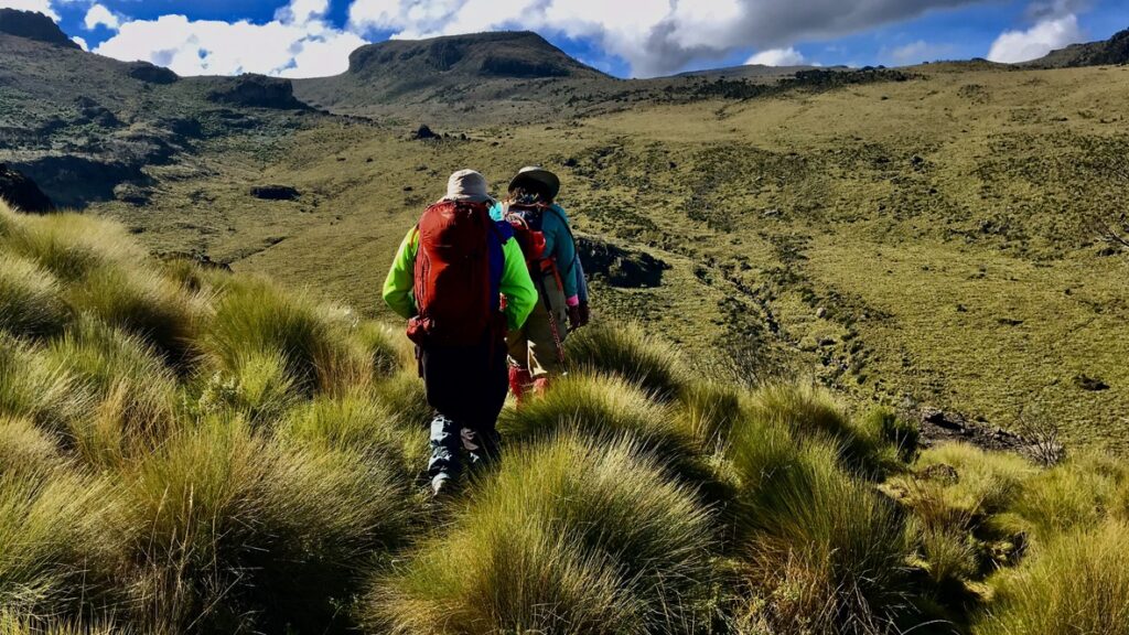 Mount Kenya Burgret Trail