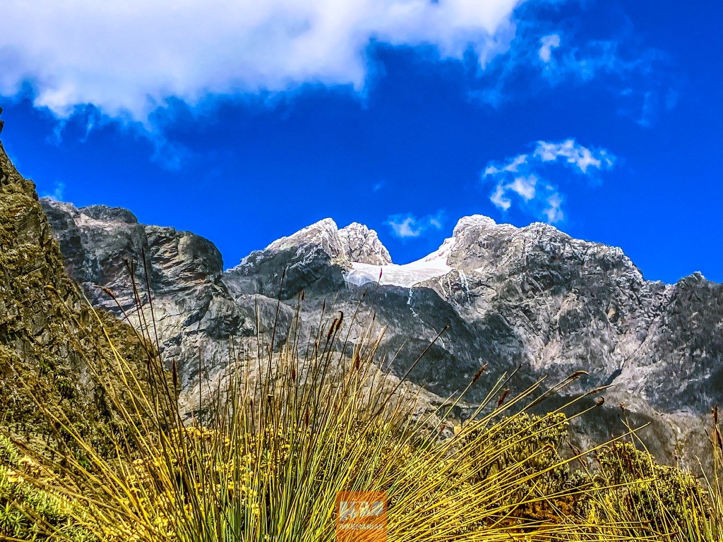 Margherita Glacier_ Rwenzori Mountains