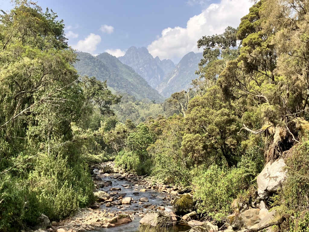 Weismann Peak_Rwenzori Mountains