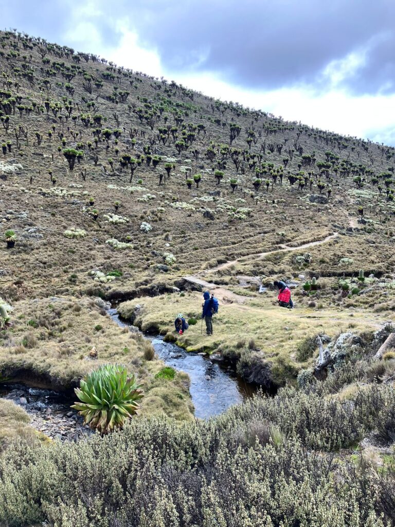 Teleki River_ Mackinders Mount Kenya
