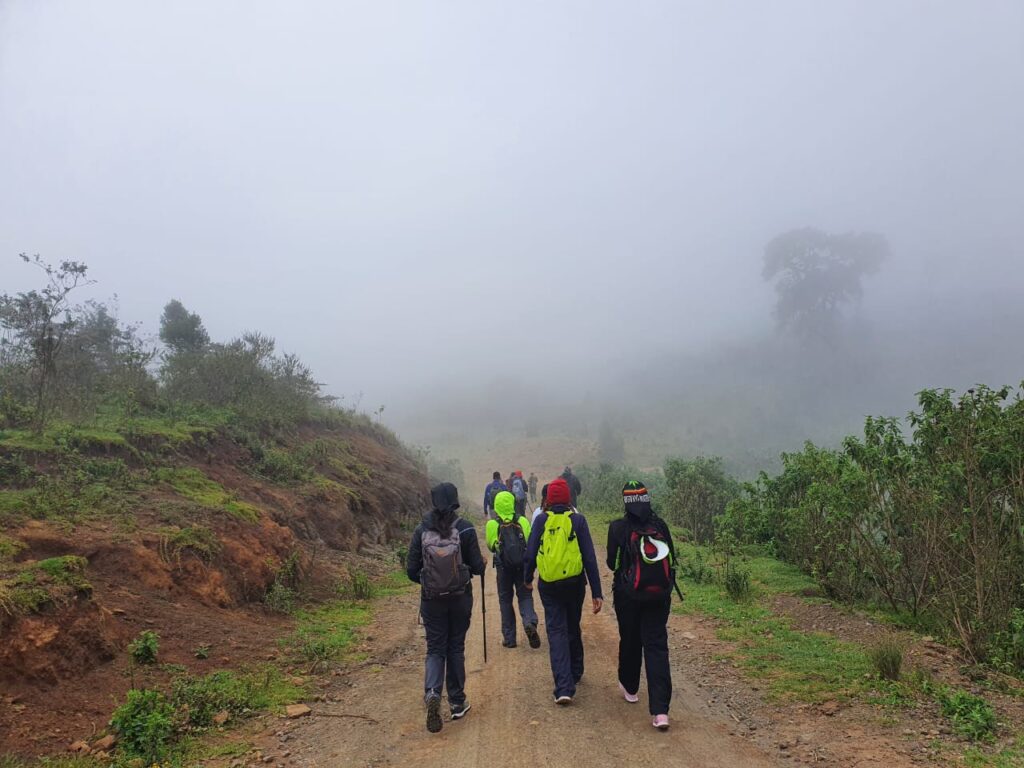 Eburru Forest Trek and Tree Planting - Hikemaniak